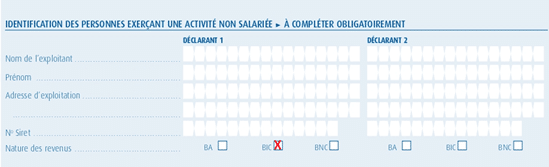 déclaration revenus meublés 2042 c Pro 2 identification des personnes