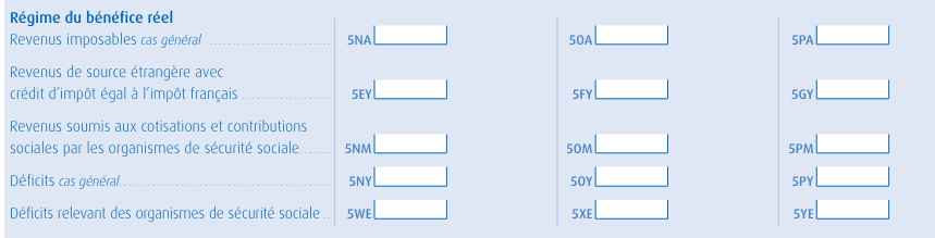declaration de revenus meublés 2042 C Pro LMNP régime réel