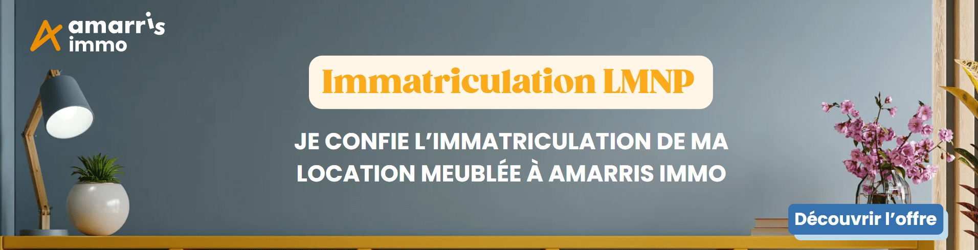 Immatriculation LMNP avec Amarris Immo