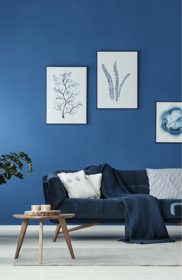 Salon bleu cadre blanc dans location meuble