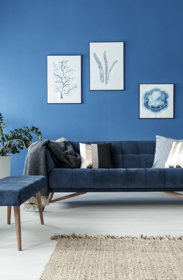 Salon bleu avec cadres dans location meuble