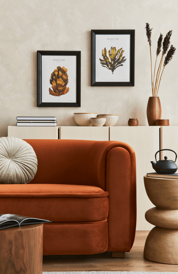 Salon blanc avec cadres et deco canape teracotta dans location meuble