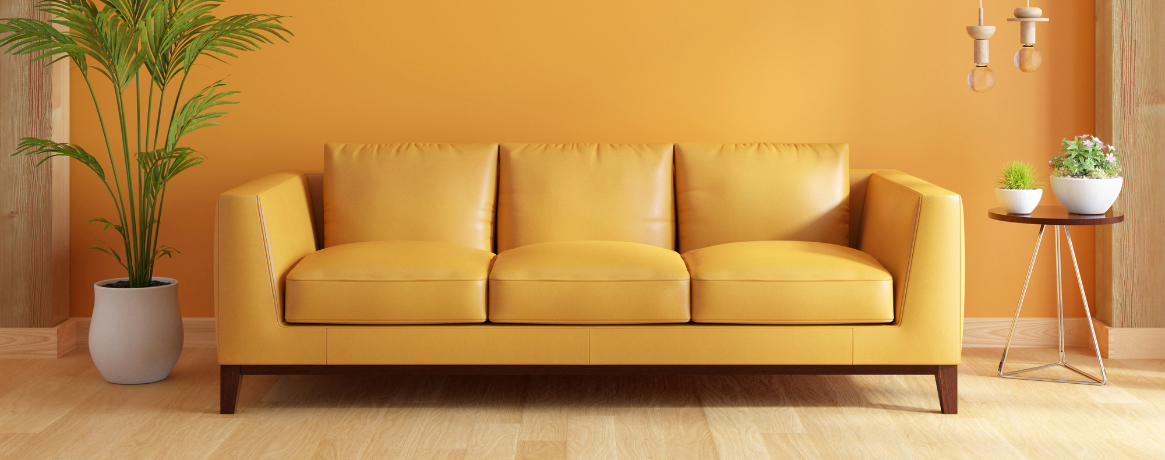 Investir via une société en location meublée