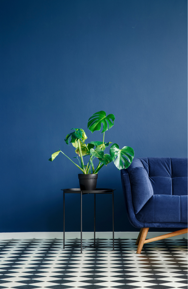 Louer un bien en meublé