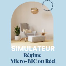 Voir le simulateur micro-BIC vs réel pour LMNP